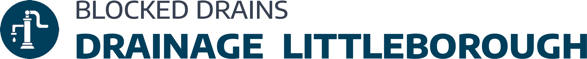 website logo